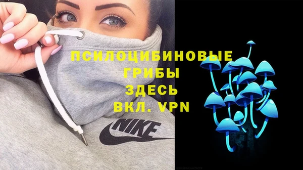MDMA Premium VHQ Заводоуковск