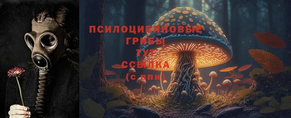 MDMA Premium VHQ Заводоуковск