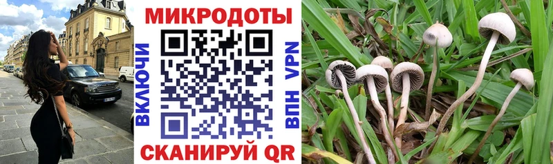 Галлюциногенные грибы мухоморы  Купить где  Макарьев 
